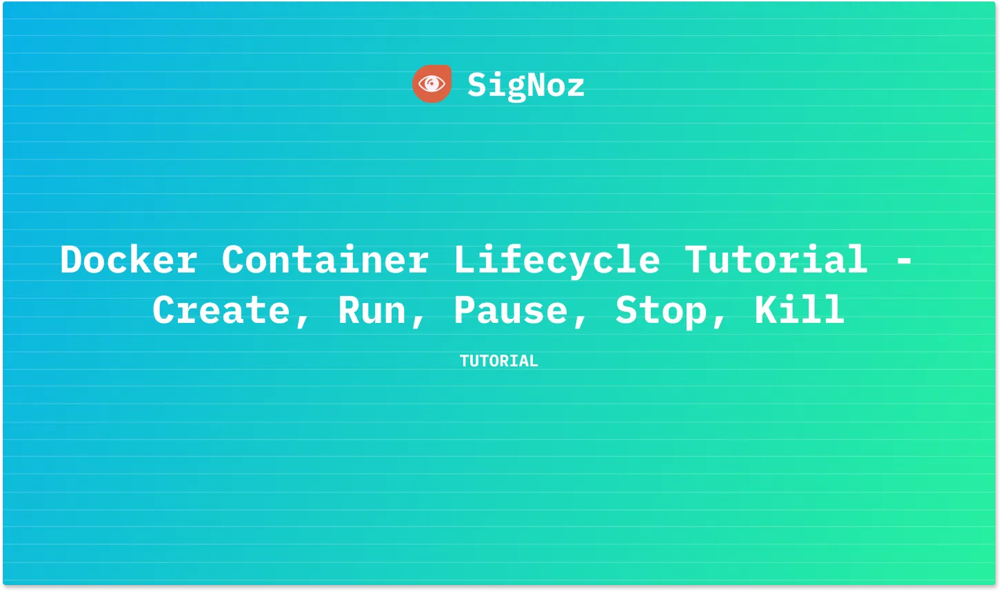 Docker Container Lifecycle Tutorial Create Run Pause Stop Kill 