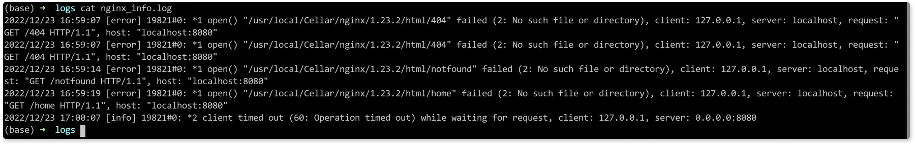 Nginx error log configuration