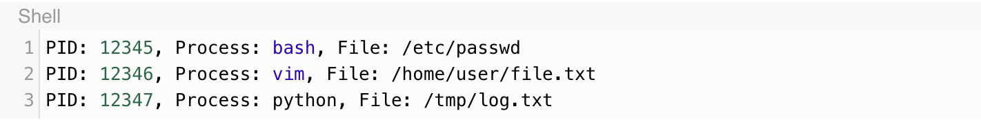 eBPF File Open Output
