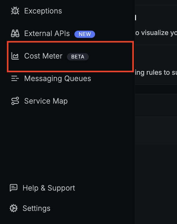 Cost Meter navigation in SigNoz sidebar