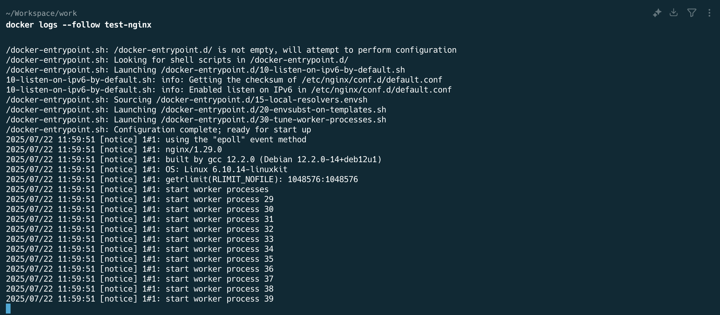 Docker Logs Command