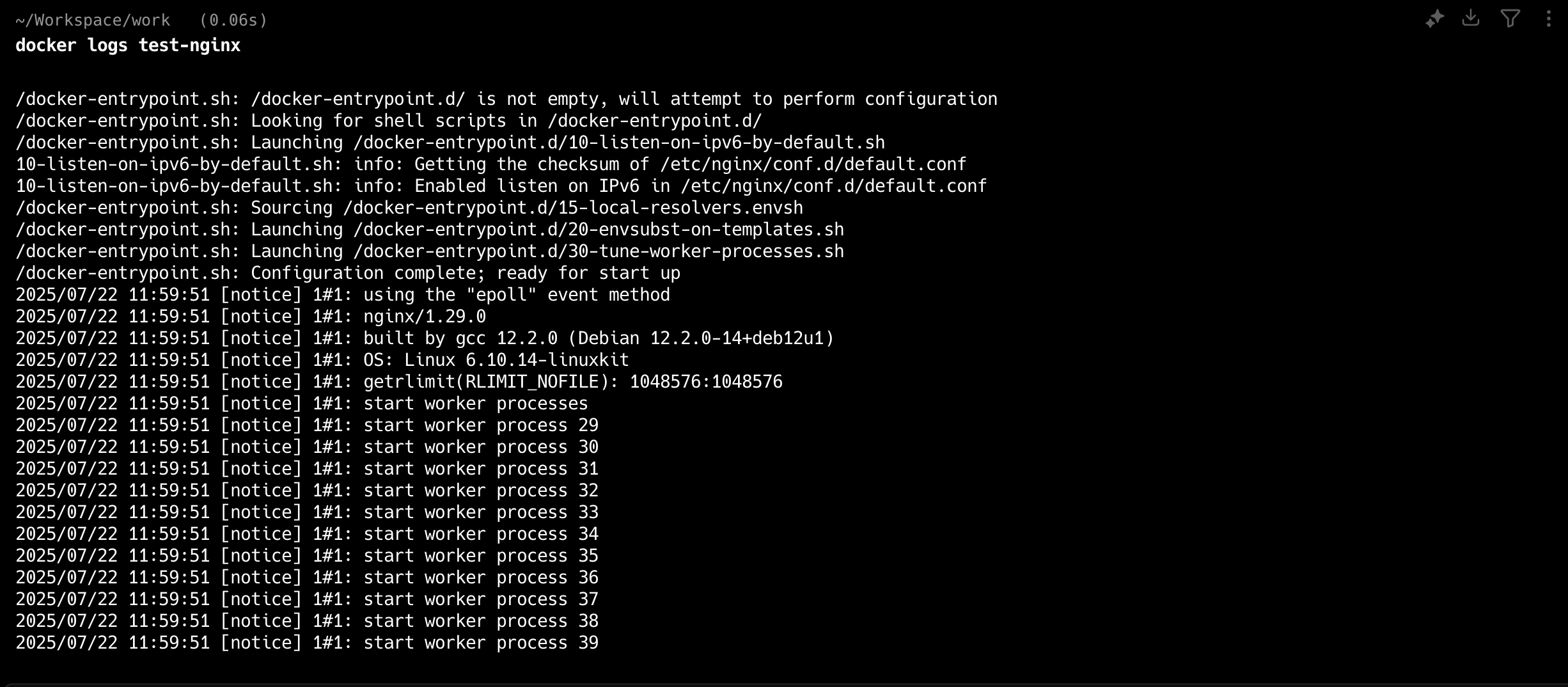 Docker Logs Command